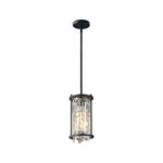 Iron Frame Modern Ceiling Light Li002701