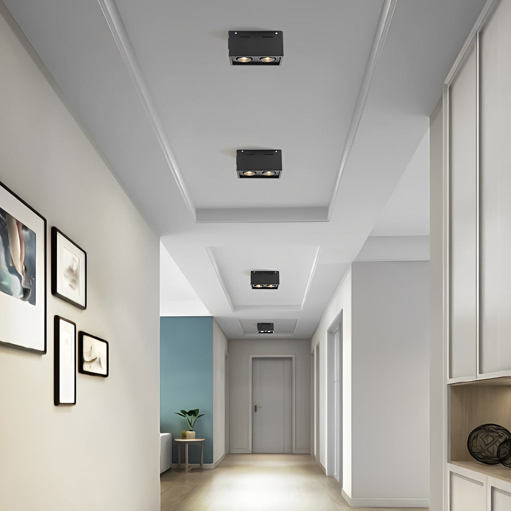 Modern Rectangular LED Surface Mounted Spotlights, Adjustable 2-Light Ceiling Fixture