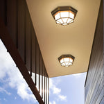 Outdoor Led European Style Ceiling Light Ha085327