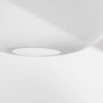 Filament Mesh Pendant Light