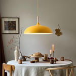 Modern Simple Dome Pendant Light