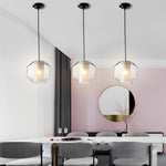 Double Glass Lampshade Pendant Light Ha088341