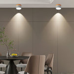 Nordic Simple Cylinder Led Ceiling Light