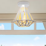 Retro Cage Led Ceiling Light Ha085021