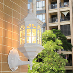 Glass European Style Outdoor Wall Lamp Li002333