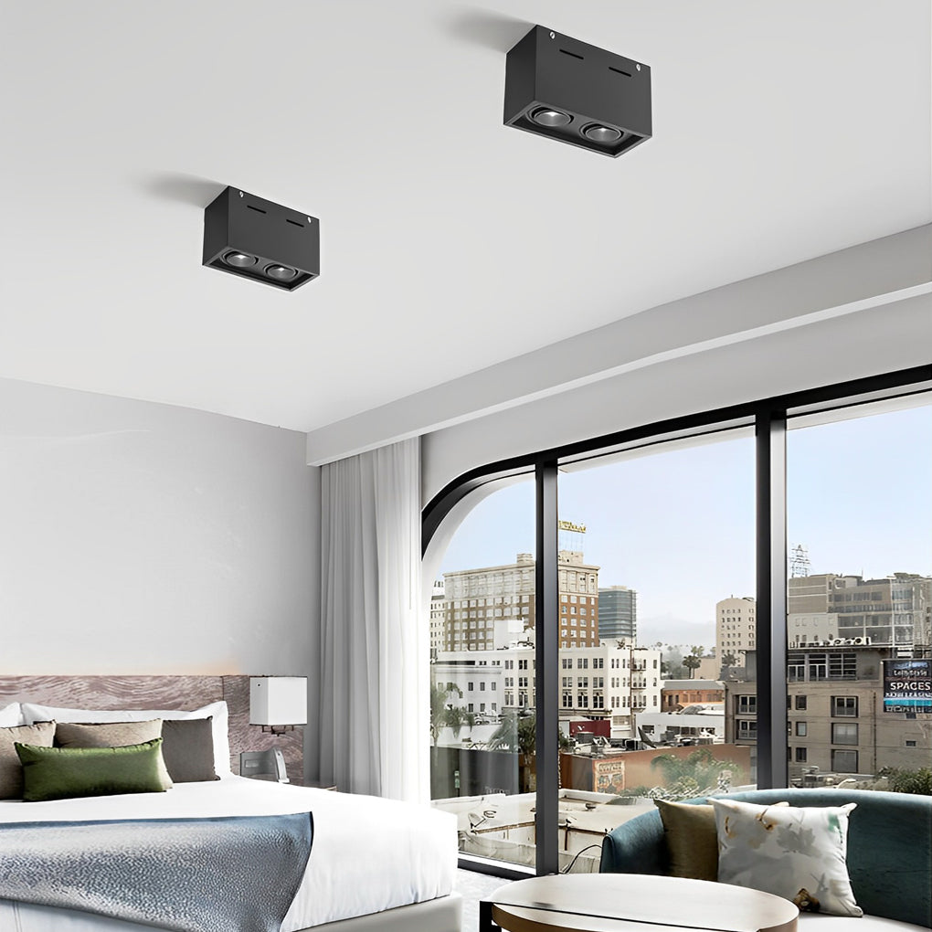 Modern Rectangular LED Surface Mounted Spotlights, Adjustable 2-Light Ceiling Fixture