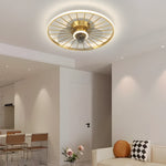 Round Silent Mute Three Step Dimming Nordic Modern Ceiling Fan And Light