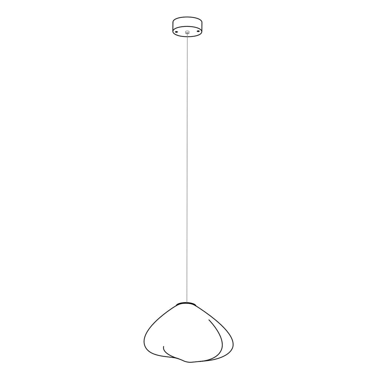 Blown Glass Random Pendant Light