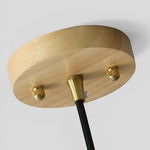 Flower Nordic Pendant Lights Ha077821
