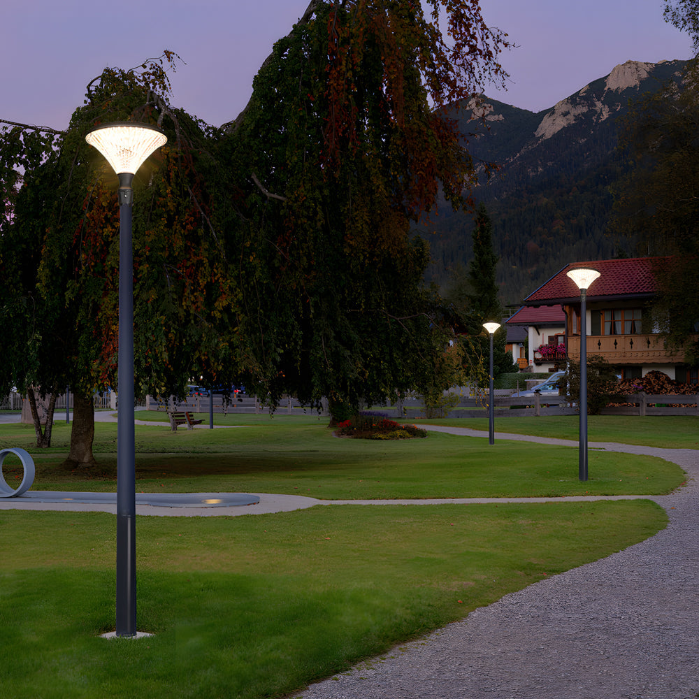 1 Light Black Outdoor Led Solar Lamp Post And Pole Street Light