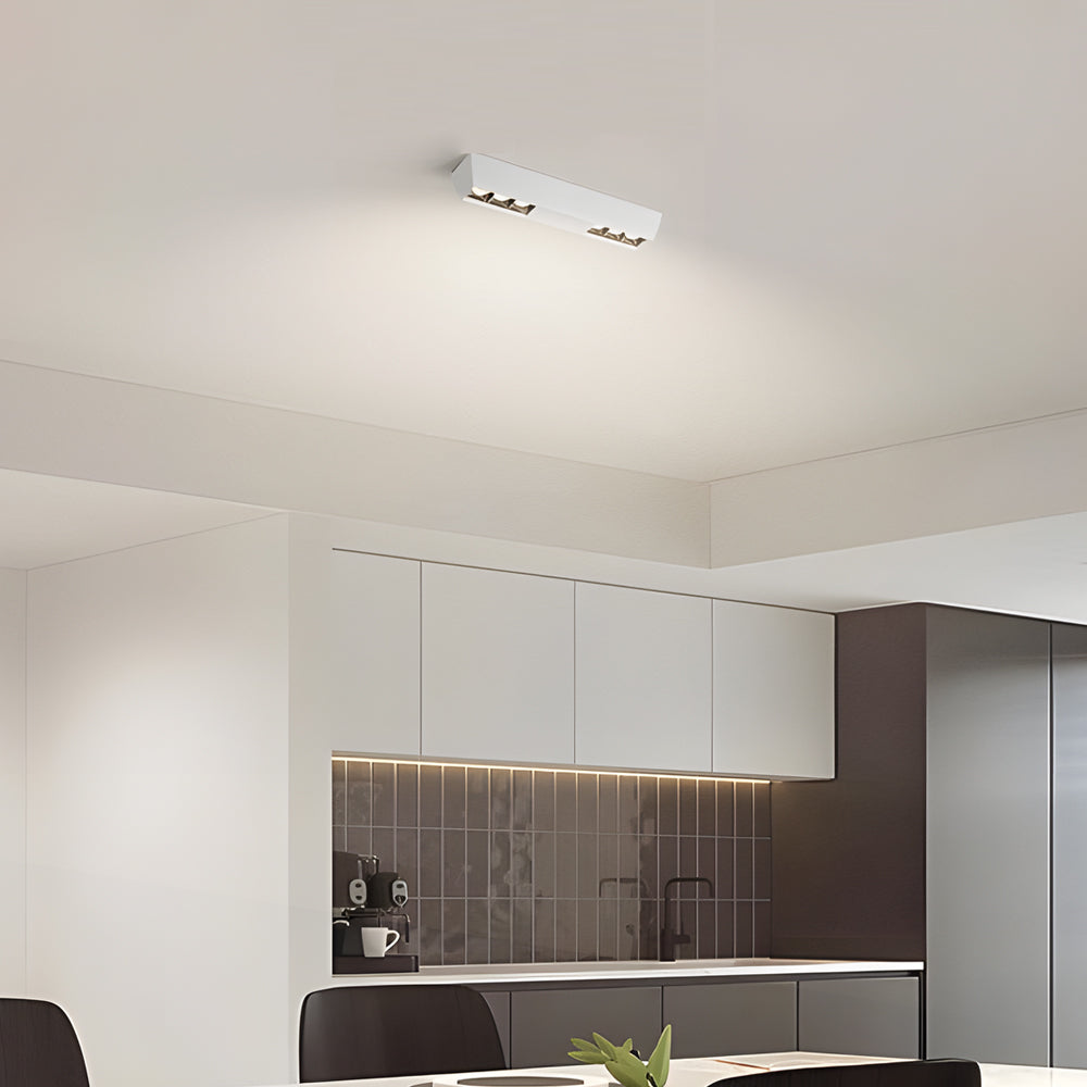Ceiling Mount Linear Led Spotlight