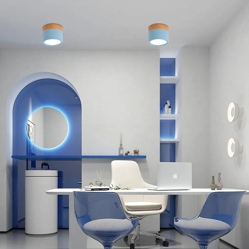 Nordic Simple Cylinder Led Ceiling Light