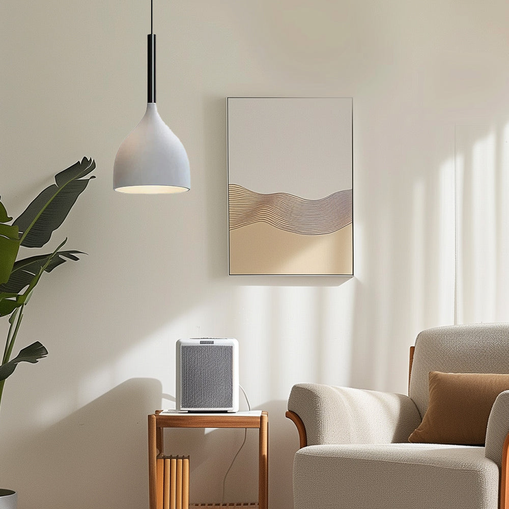 Baking Paint Iron Pendant Light