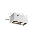 Modern Rectangular LED Surface Mounted Spotlights, Adjustable 2-Light Ceiling Fixture
