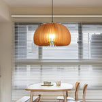 Pumpkin Shaped Pendant Light Li001916