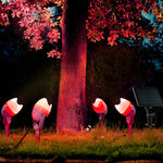 Eggshell Rgb Solar Outdoor Spotlight Ha085453