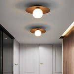 Bowl Shaped Led Ceiling Light Li002070