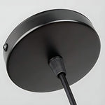 Black Small Iron Cage Pendant Light Li002605