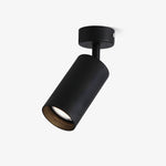 Arlo Adjustable Ceiling Spotlight in Black, White, or Gold – Modern Architectural Accent Light