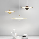 Round Cob Nordic Pendant Lights Li002217