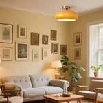 Creative Simple Persimmon Shape Pendant Light