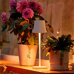 15 Inch Cordless Modern Cool Hue Metal Table Lamp Black White