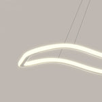 Long Waves Circular Design Pendant Light Li002069