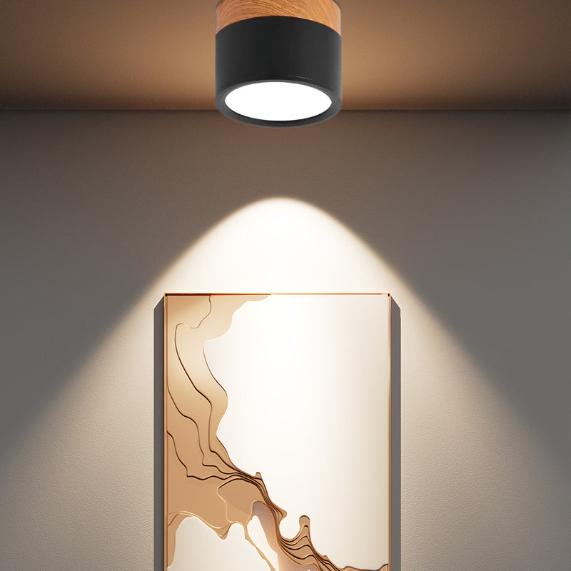 Nordic Simple Cylinder Led Ceiling Light