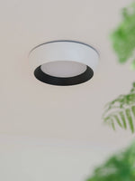 afx-duncan-ceiling-light