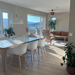 acorn-pendant-light