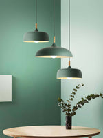 18 Acorn Pendant Light