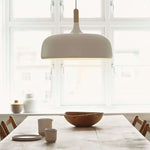 18 Acorn Pendant Light
