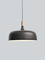 18 Acorn Pendant Light