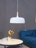 18 Acorn Pendant Light
