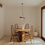 acoustic-disc-pendant-lamp