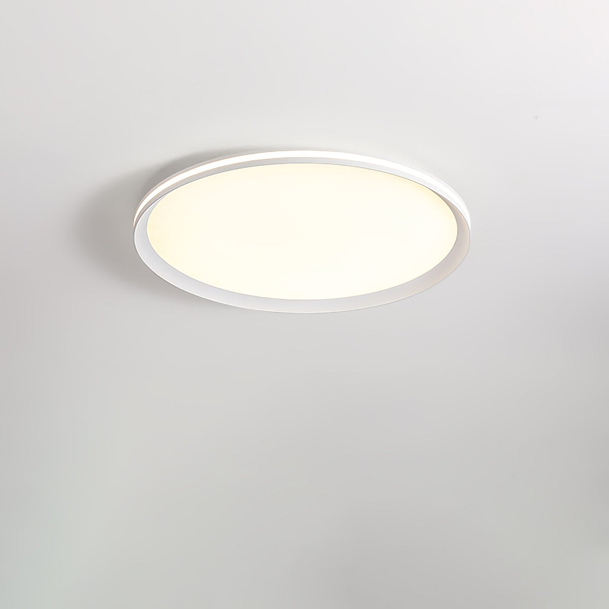 Acrylic Circular Led Ceiling Light