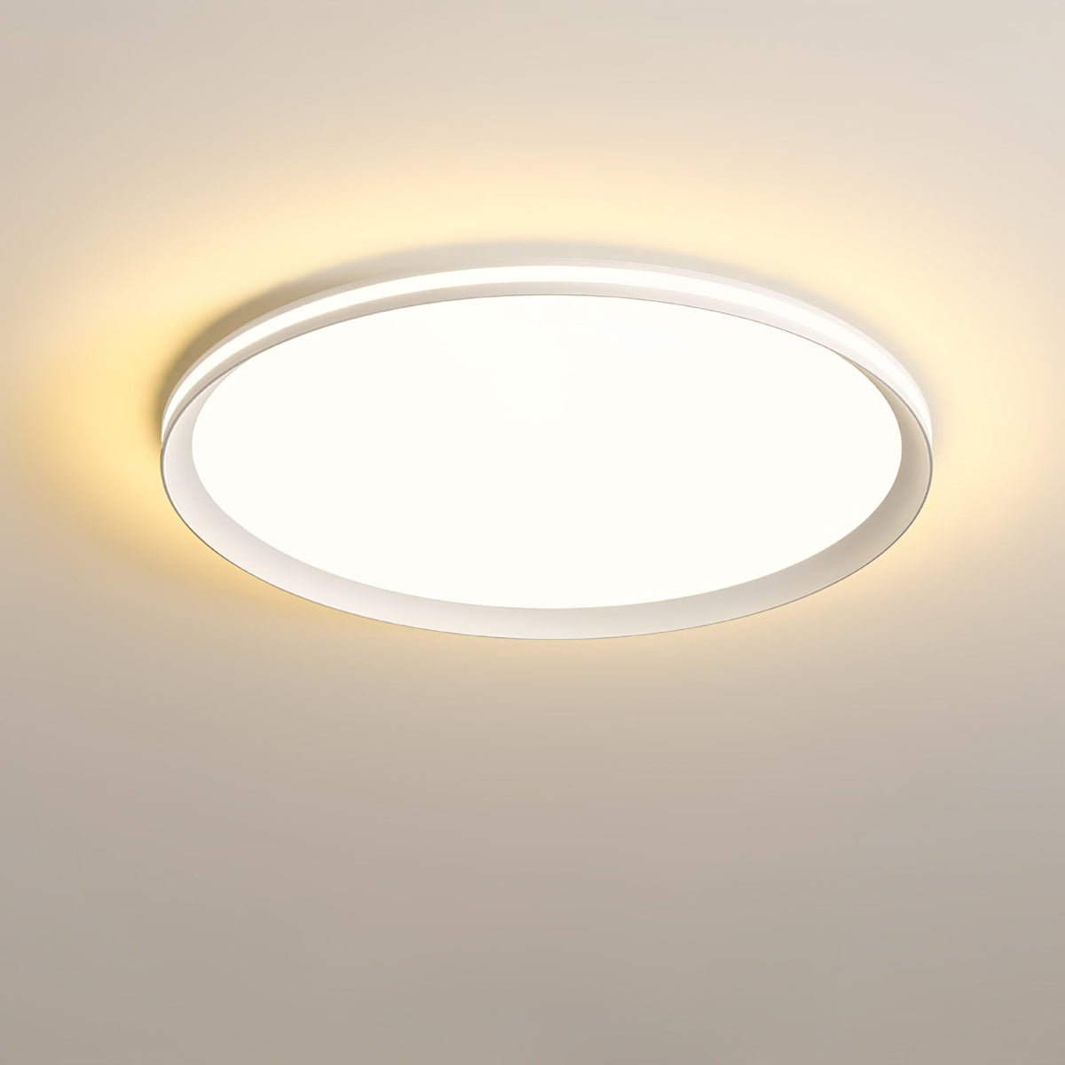 Acrylic Circular Led Ceiling Light