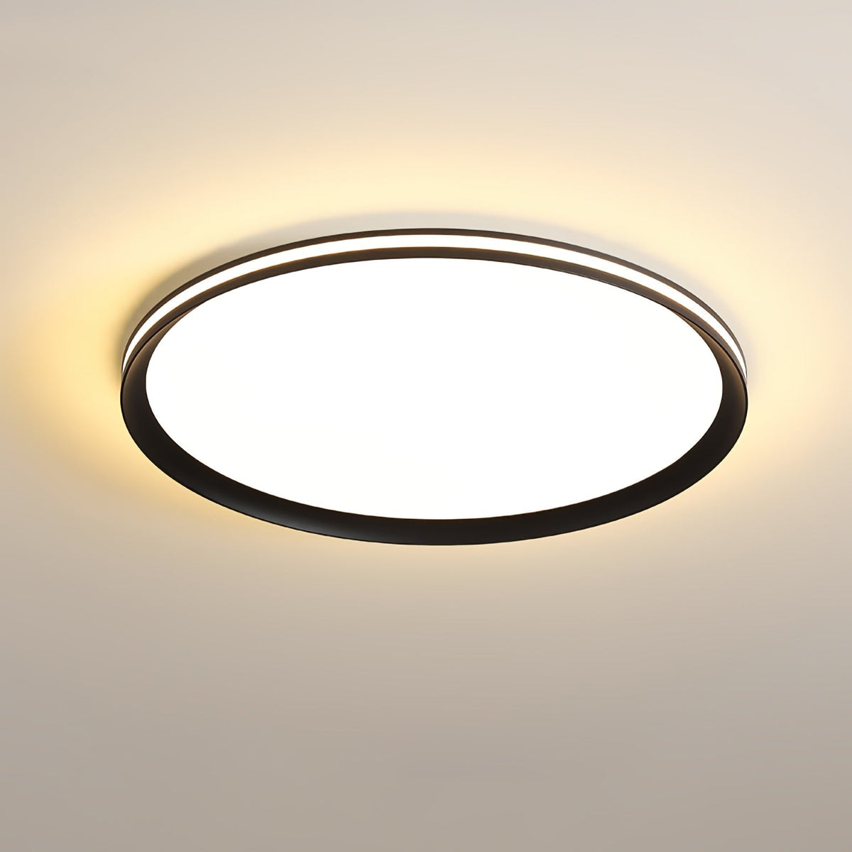 Acrylic Circular Led Ceiling Light
