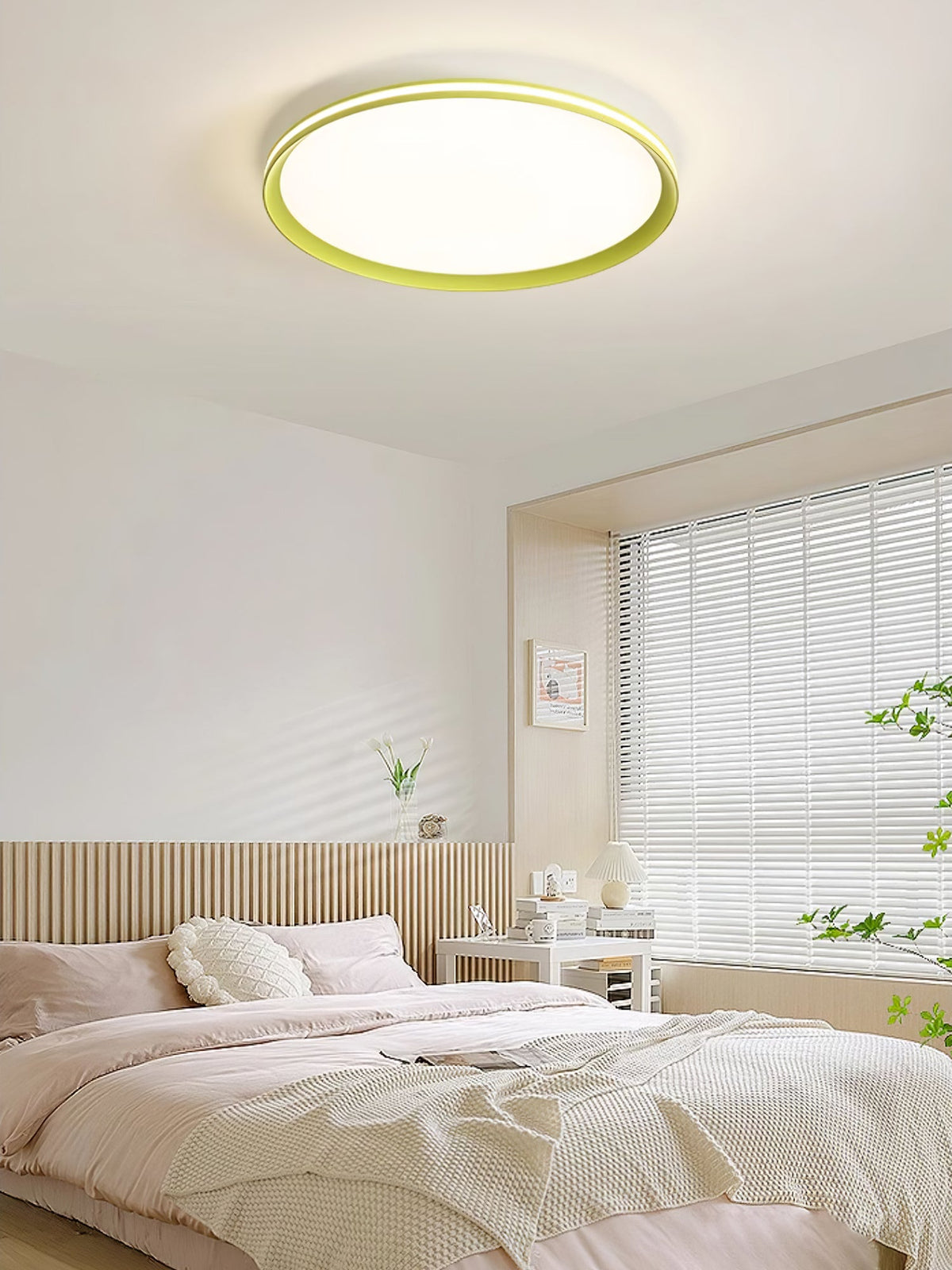 Acrylic Circular Led Ceiling Light