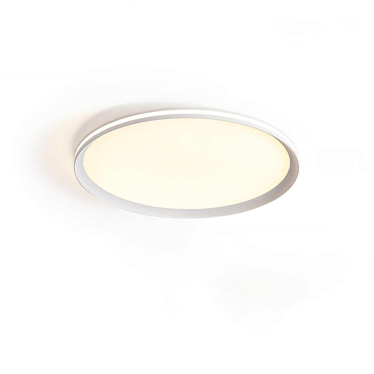 Acrylic Circular Led Ceiling Light