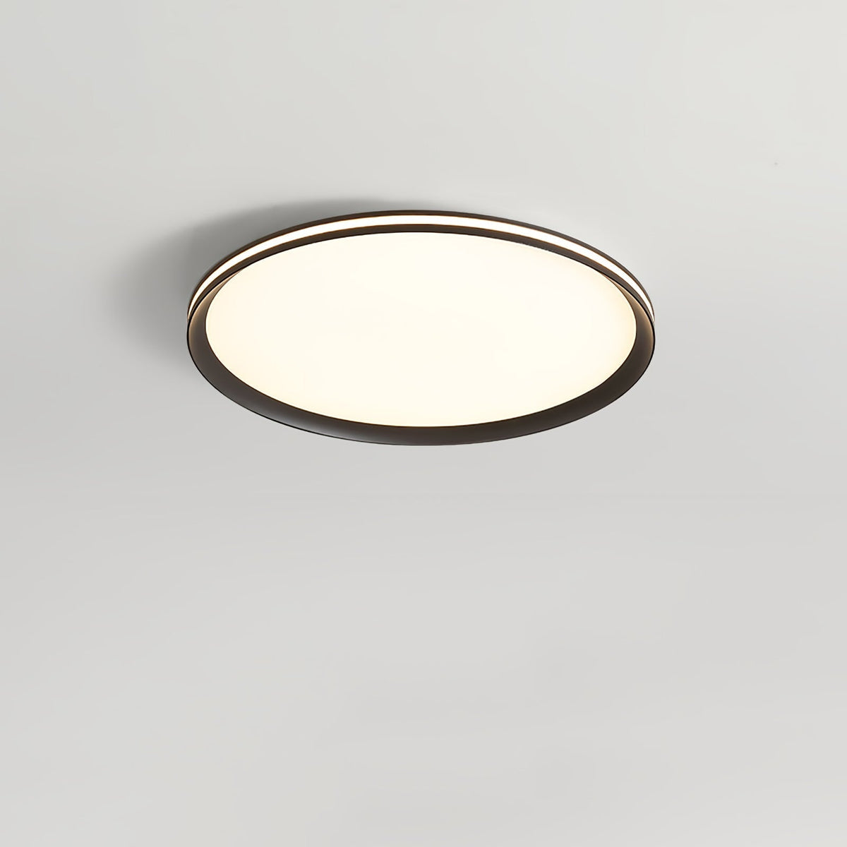 Acrylic Circular Led Ceiling Light