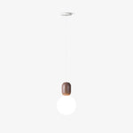 Acrylic Two Ball Pendant Light