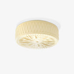 Adler Ceiling Light - ailampplus