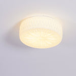 Adler Ceiling Light - ailampplus