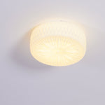 Adler Ceiling Light - ailampplus
