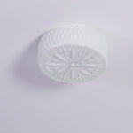 Adler Ceiling Light - ailampplus