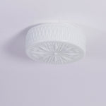 Adler Ceiling Light - ailampplus