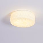 Adler Ceiling Light - ailampplus