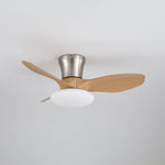Aeris Curve Ceiling Fan with Integrated LED Light in Walnut Finish