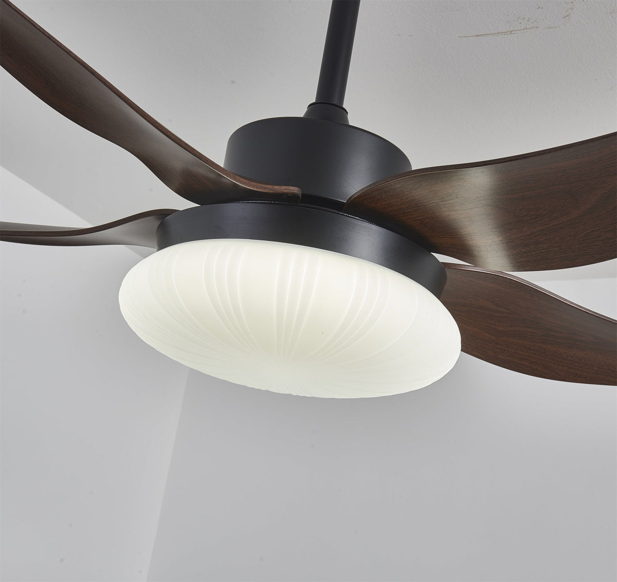 Aero Palm Ceiling Fan Light with LED Dome and Walnut Blades
